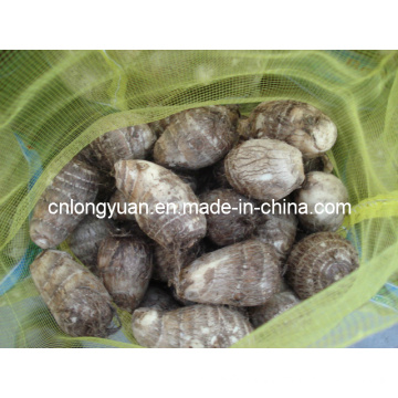 2015 Chinese New Crop Taro